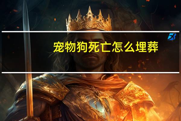 宠物狗死亡怎么埋葬