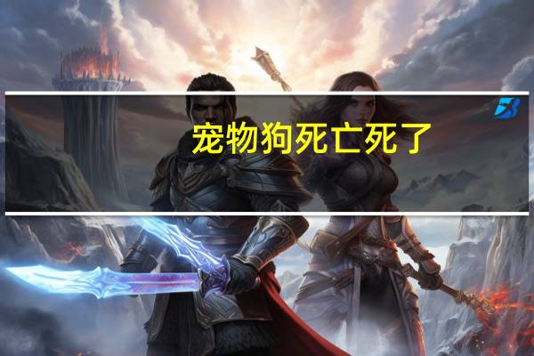 宠物狗死亡死了