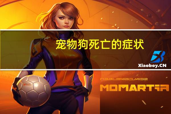 宠物狗死亡的症状