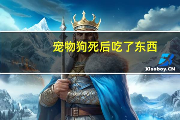 宠物狗死后吃了东西