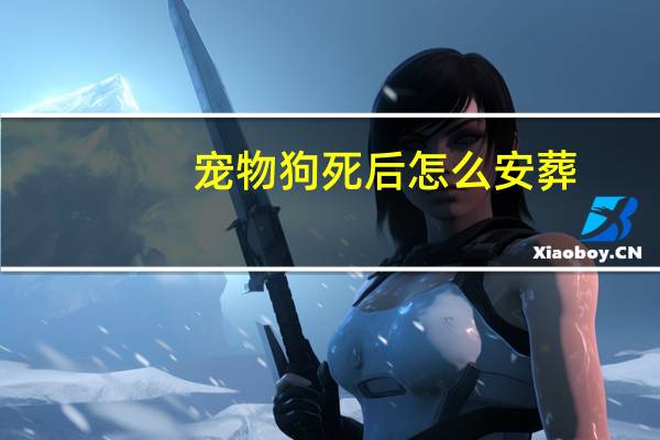 宠物狗死后怎么安葬