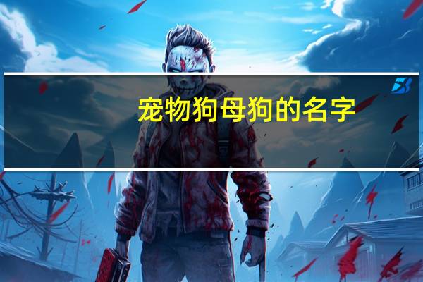 宠物狗母狗的名字