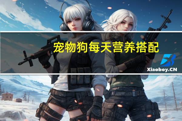 宠物狗每天营养搭配
