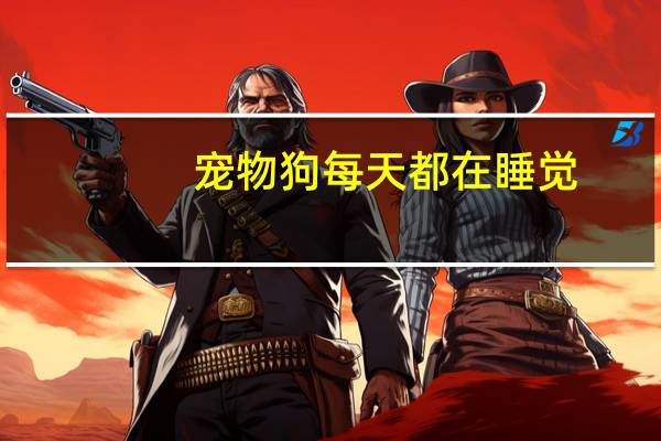 宠物狗每天都在睡觉