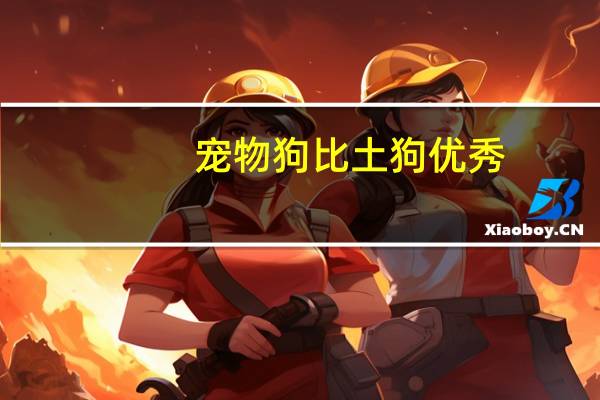 宠物狗比土狗优秀