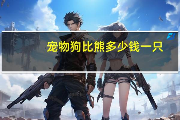宠物狗比熊多少钱一只