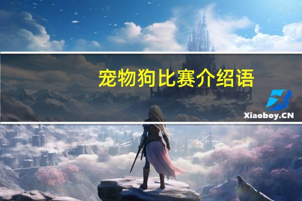 宠物狗比赛介绍语