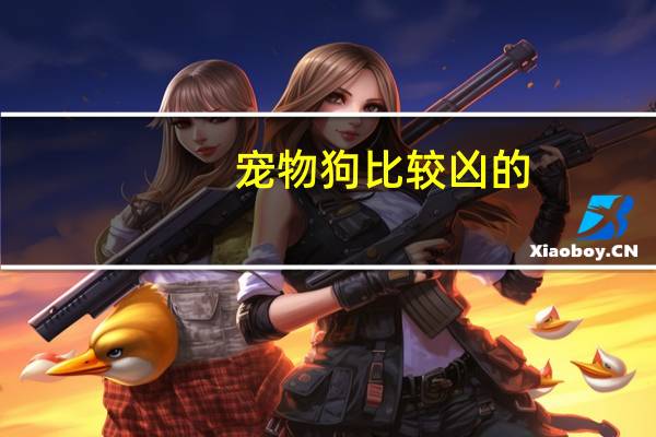 宠物狗比较凶的