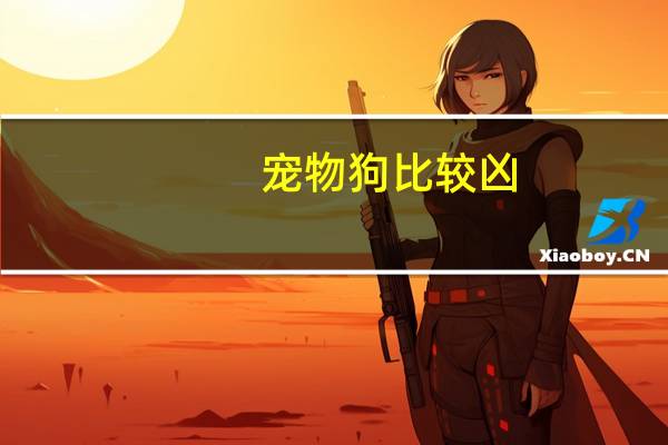 宠物狗比较凶