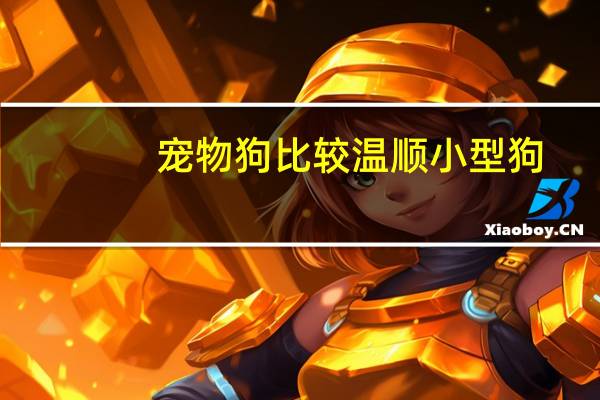 宠物狗比较温顺小型狗