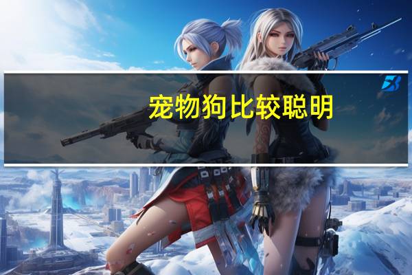 宠物狗比较聪明