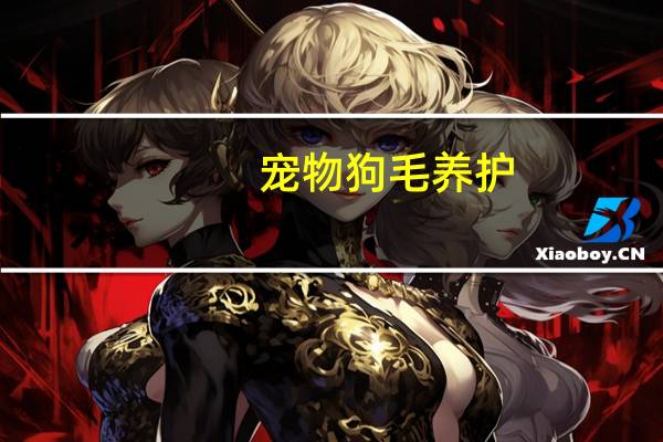 宠物狗毛养护