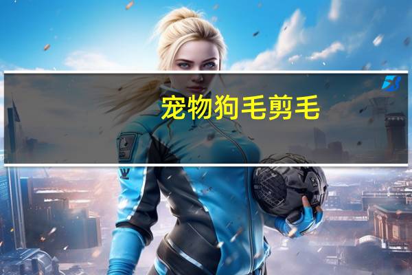 宠物狗毛剪毛