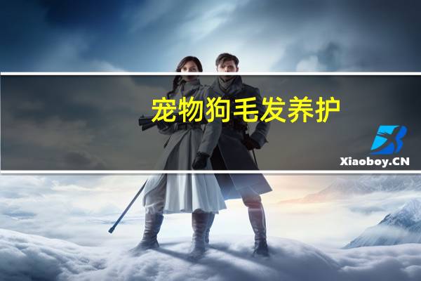 宠物狗毛发养护