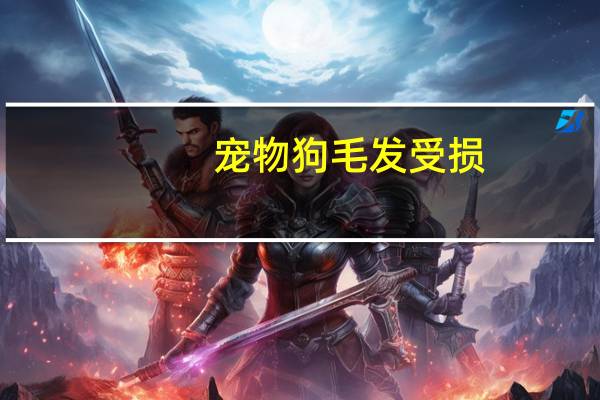 宠物狗毛发受损