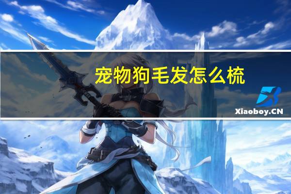 宠物狗毛发怎么梳