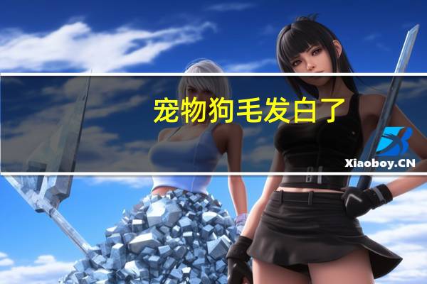 宠物狗毛发白了