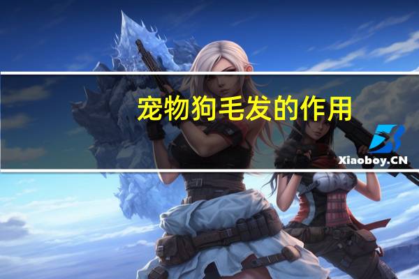 宠物狗毛发的作用