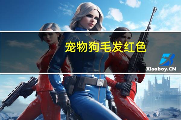 宠物狗毛发红色