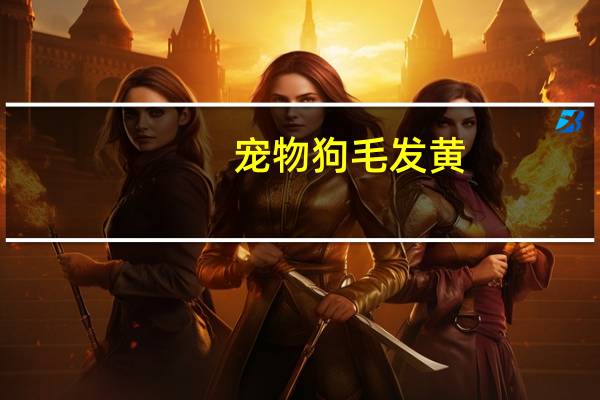 宠物狗毛发黄