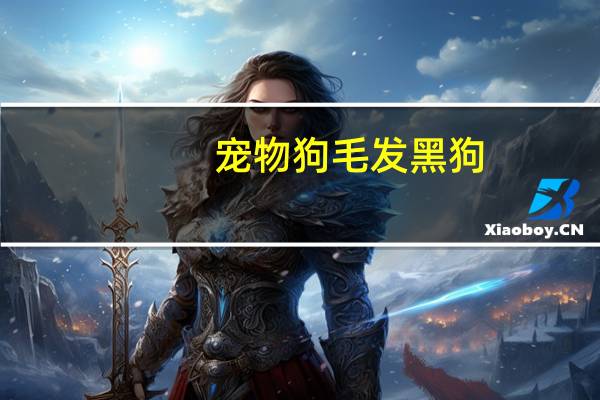 宠物狗毛发黑狗