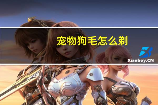 宠物狗毛怎么剃