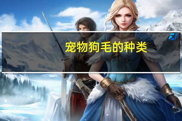 宠物狗毛的种类