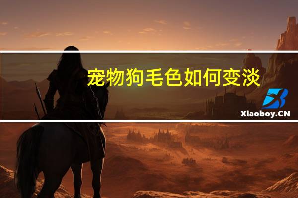 宠物狗毛色如何变淡
