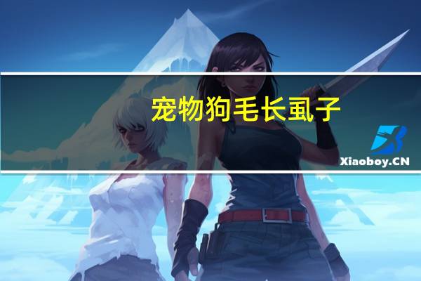 宠物狗毛长虱子