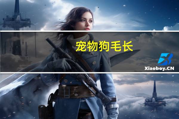 宠物狗毛长