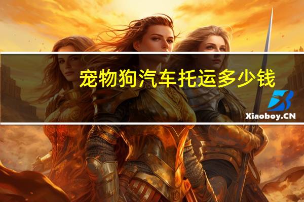 宠物狗汽车托运多少钱