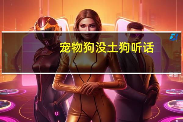 宠物狗没土狗听话