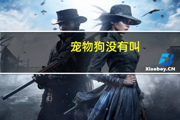 宠物狗没有叫