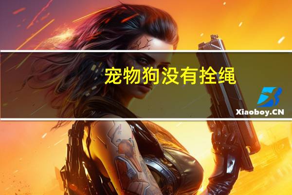 宠物狗没有拴绳