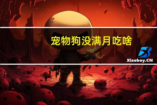 宠物狗没满月吃啥