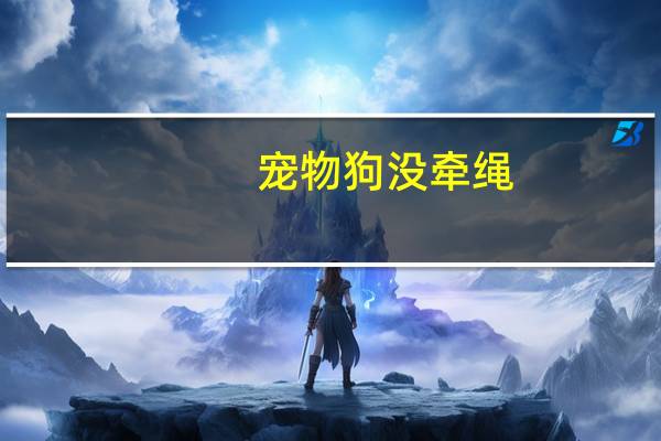 宠物狗没牵绳