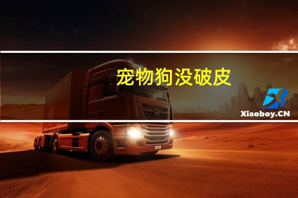 宠物狗没破皮