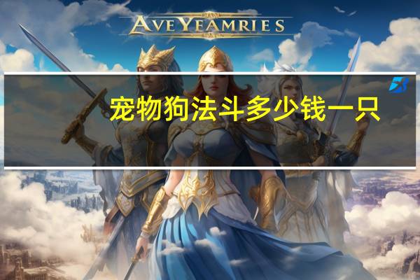 宠物狗法斗多少钱一只