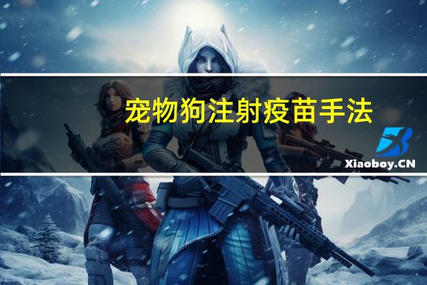 宠物狗注射疫苗手法