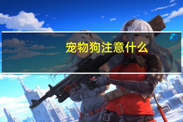 宠物狗注意什么