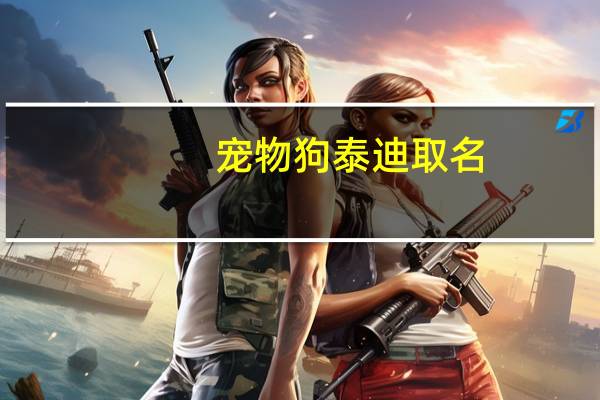 宠物狗泰迪取名
