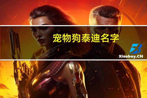 宠物狗泰迪名字