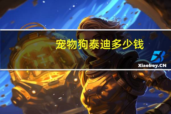 宠物狗泰迪多少钱