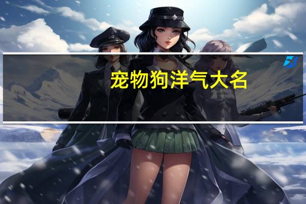 宠物狗洋气大名
