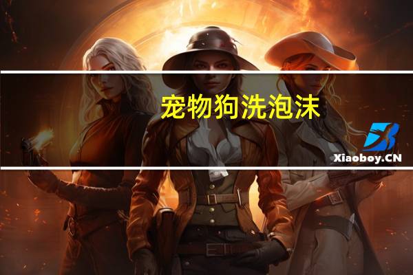 宠物狗洗泡沫