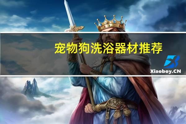 宠物狗洗浴器材推荐