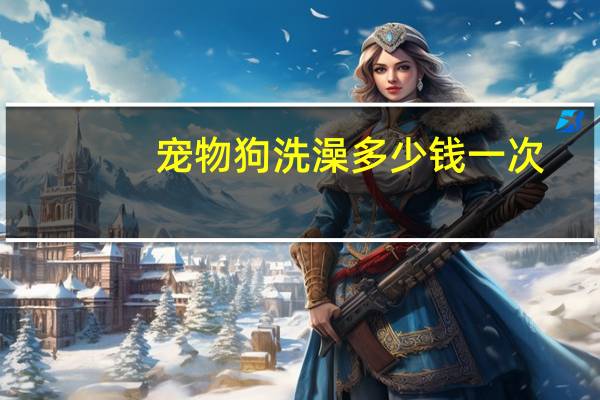 宠物狗洗澡多少钱一次
