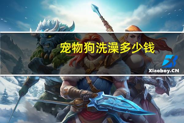 宠物狗洗澡多少钱