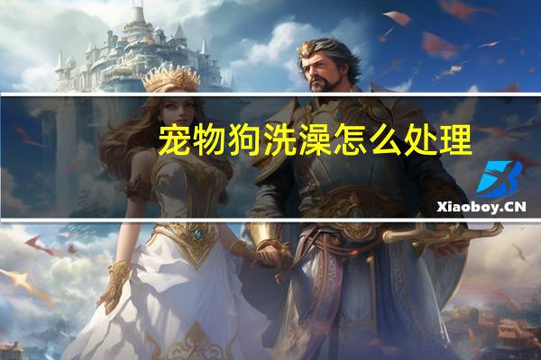 宠物狗洗澡怎么处理