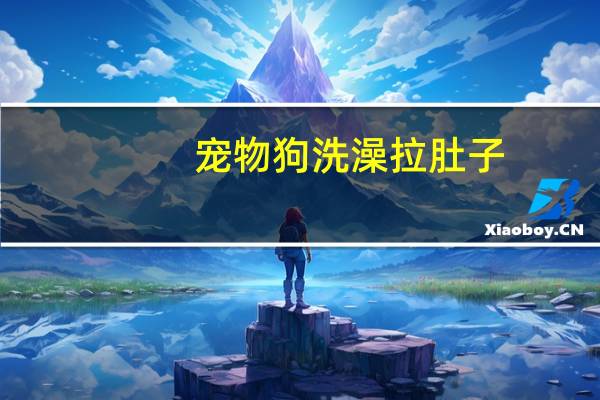 宠物狗洗澡拉肚子